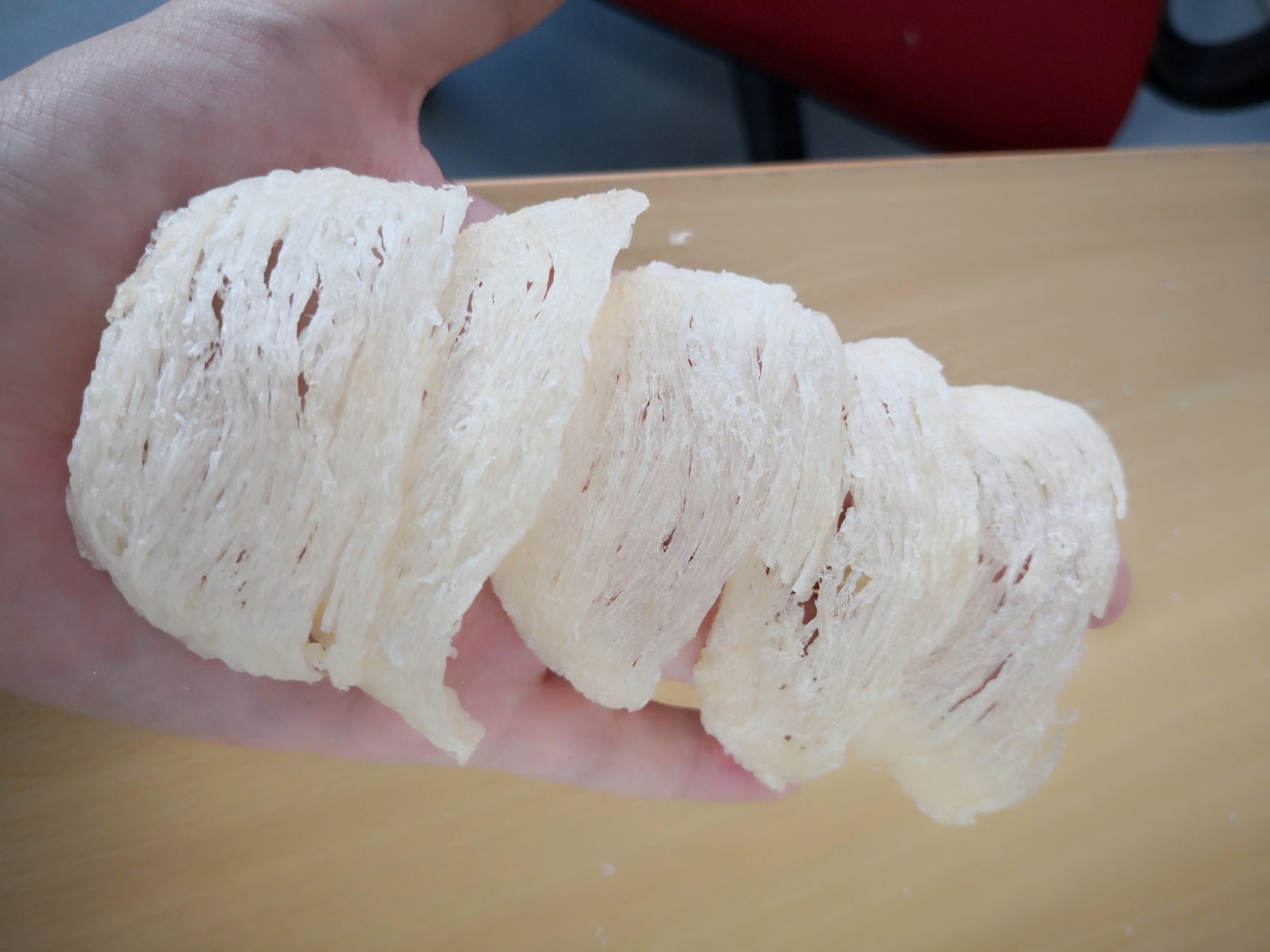 ​​屋燕 House Bird&apos;s Nest