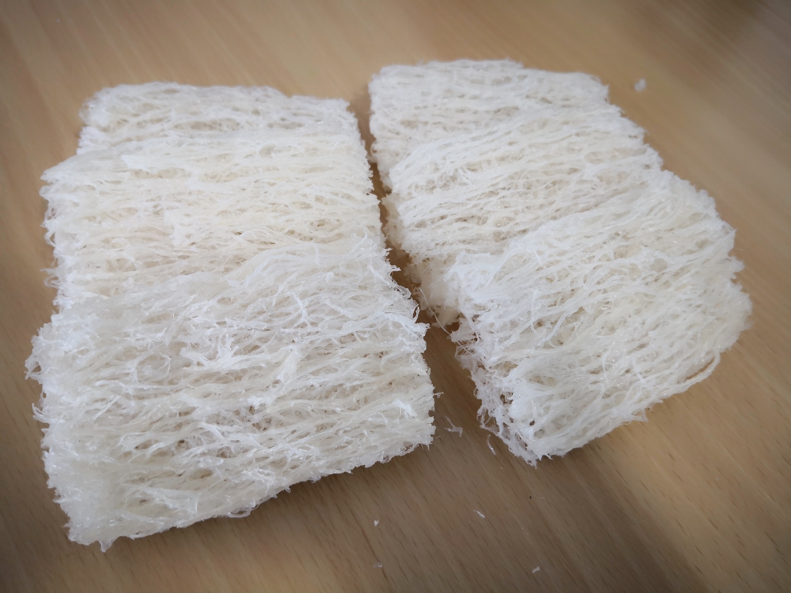 ​​屋燕 House Bird&apos;s Nest