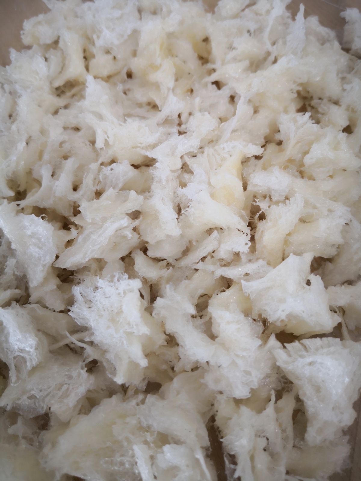 高档燕角 Premium House Bird&apos;s Nest Angle