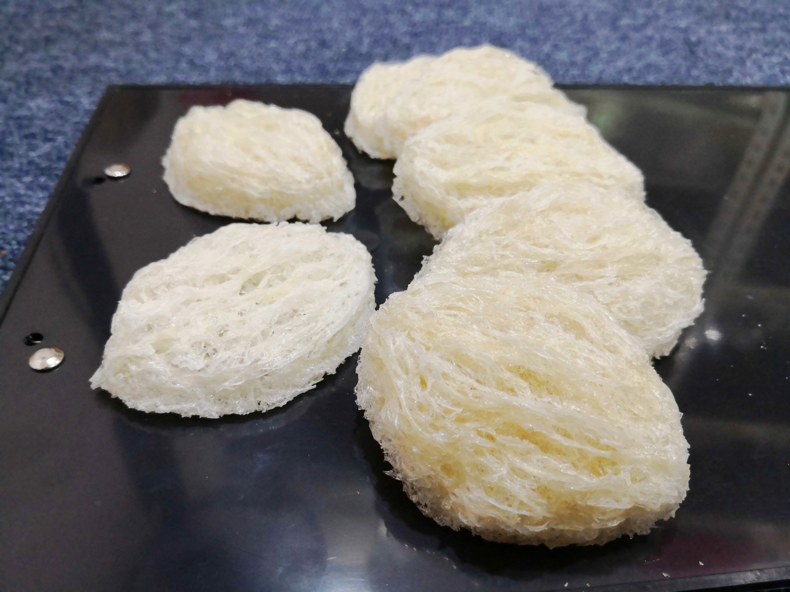 ​​屋燕 House Bird&apos;s Nest