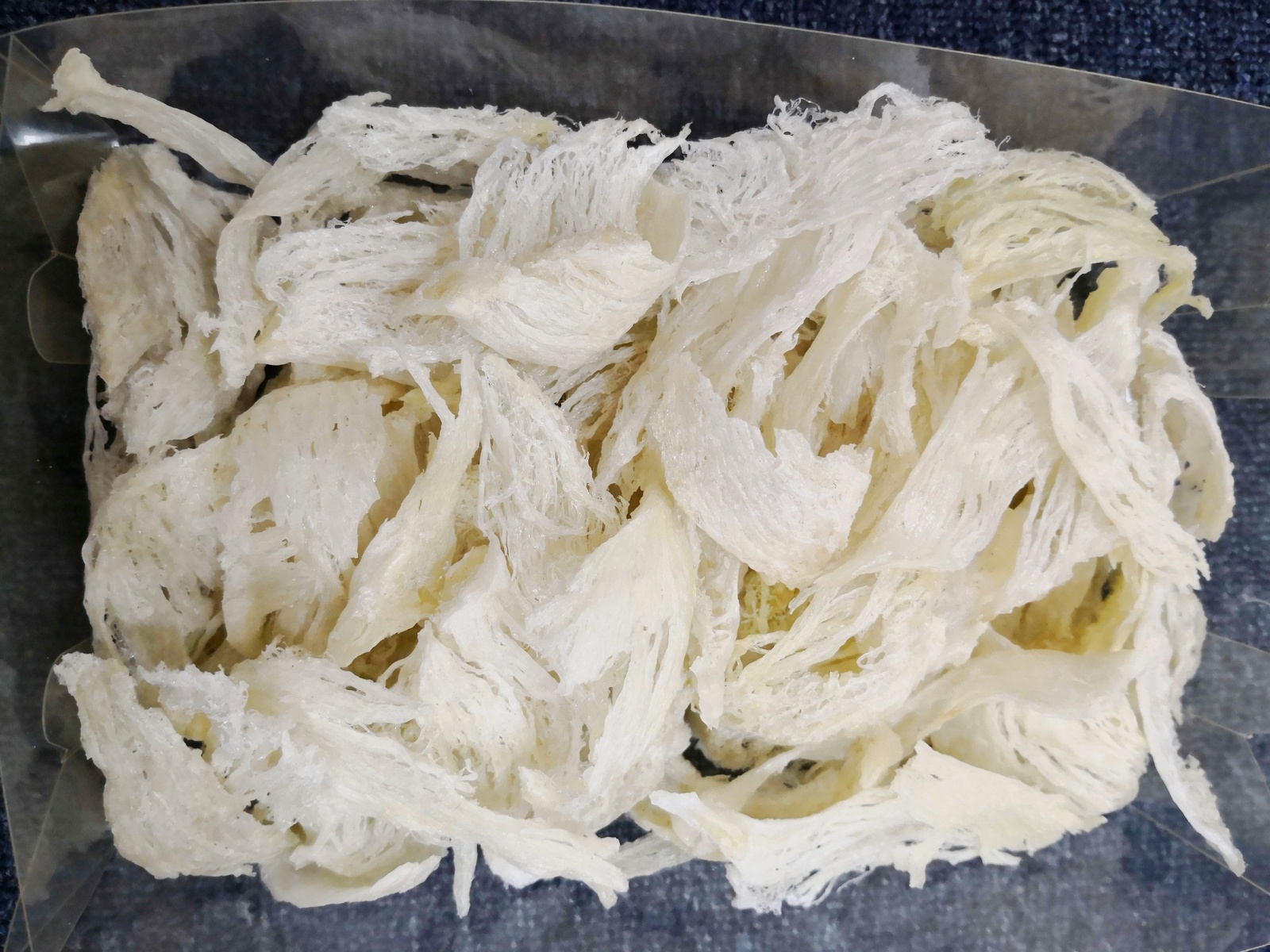 ​​屋燕 House Bird&apos;s Nest