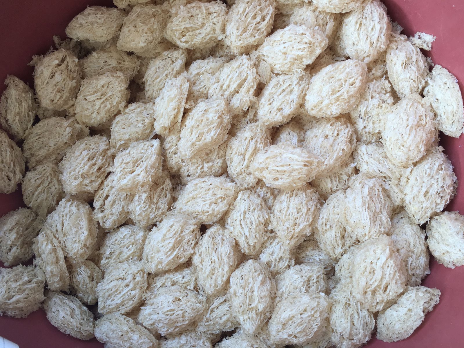 About Us Sarawak Bird's Nest Jia Cheng Trading