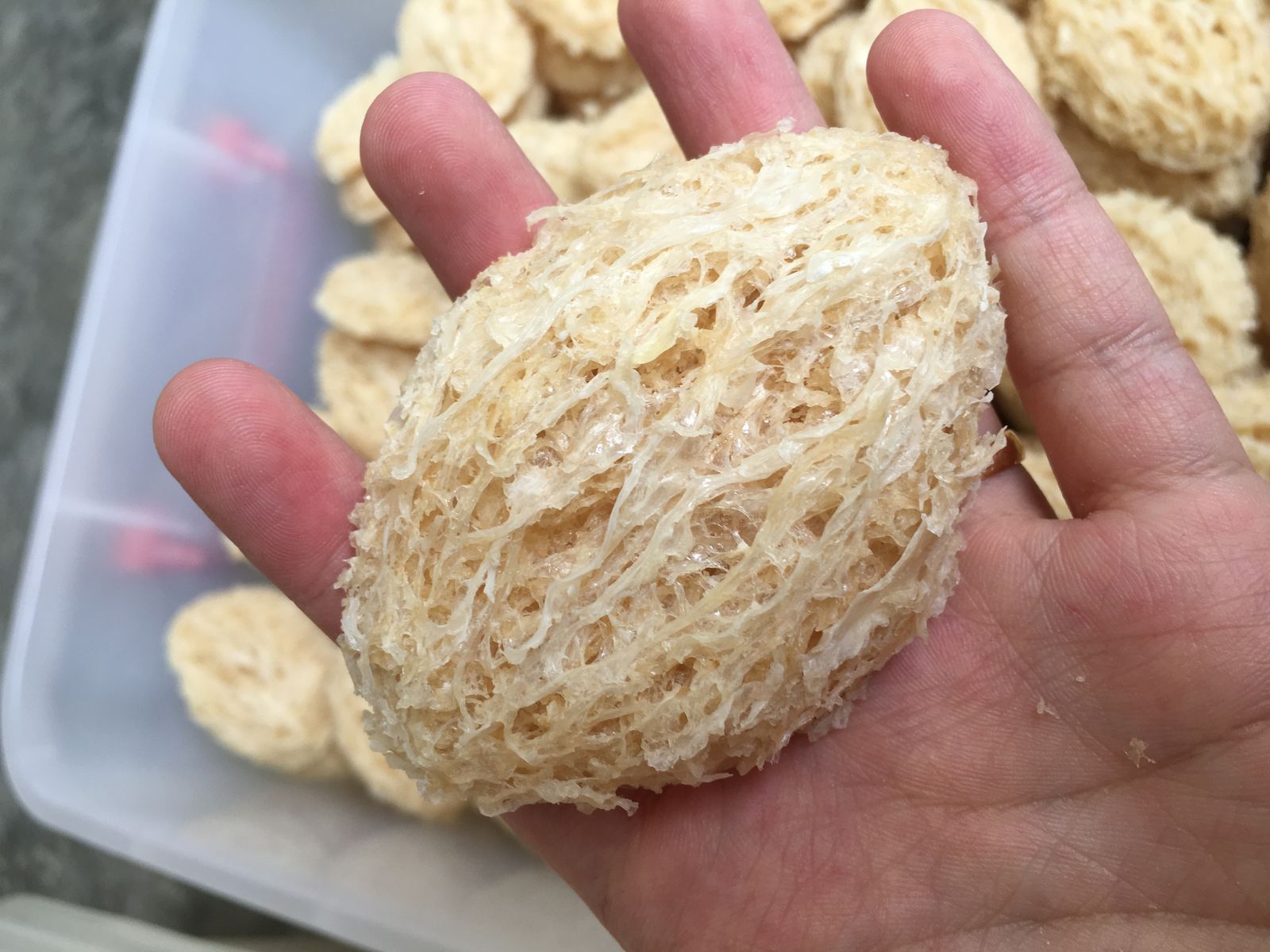 ​2A-叶子型洞燕饼 2A Normal Leave Shape Cave Bird&apos;s Nest Yan Bing with Stripes