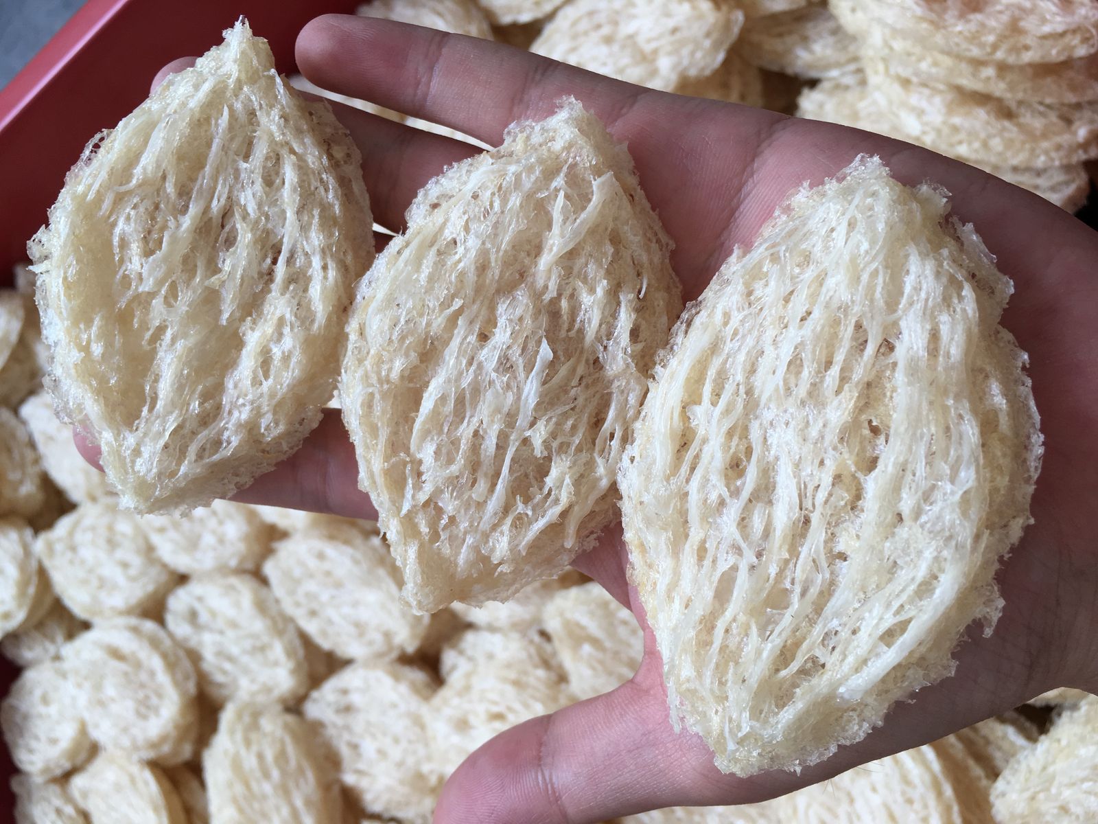 ​4A-叶子型洞燕饼 4A Quality Leaf Shape Cave Bird&apos;s Nest Yan Bing with Stripes