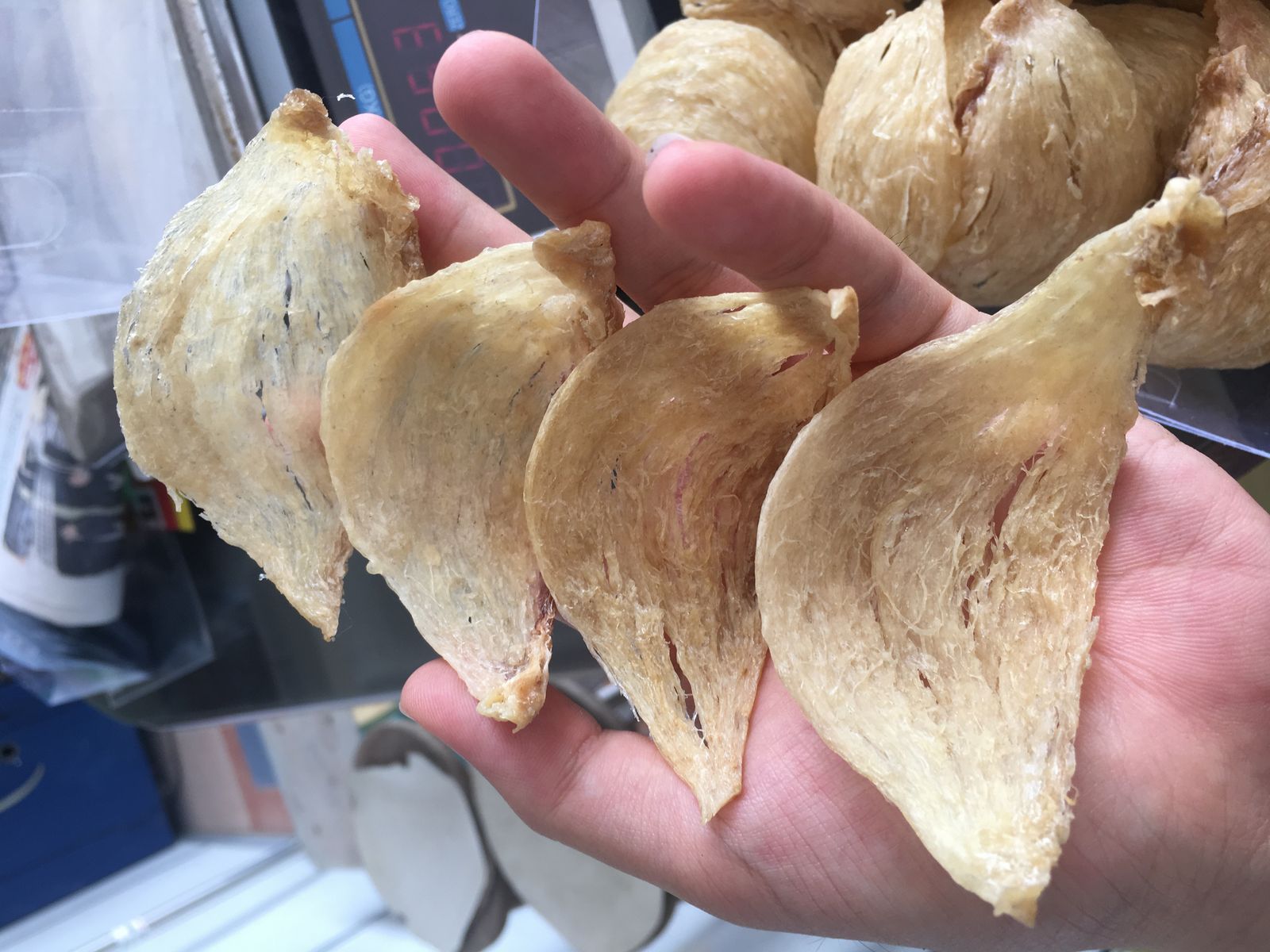 ​手工中大洞燕盏 Handpicked Medium Big Cave Bird&apos;s Nest Yan Zhan