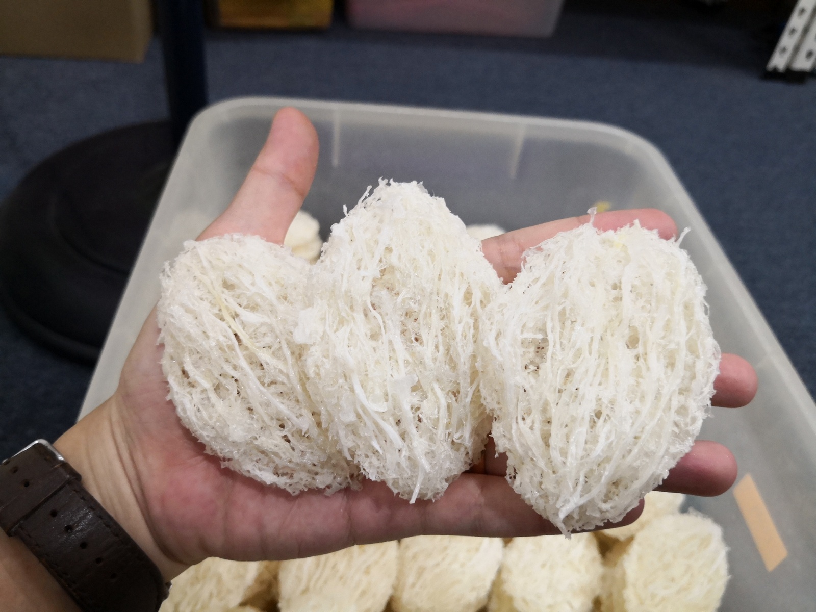 罐装屋燕饼 Premium House Bird&apos;s Nest Yan Bing