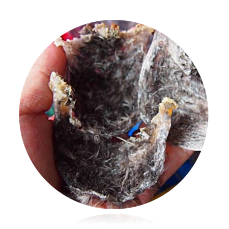 ​​生产工艺 The Nature Of Processing