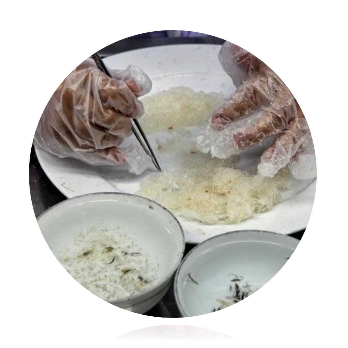 ​​生产工艺 The Nature Of Processing