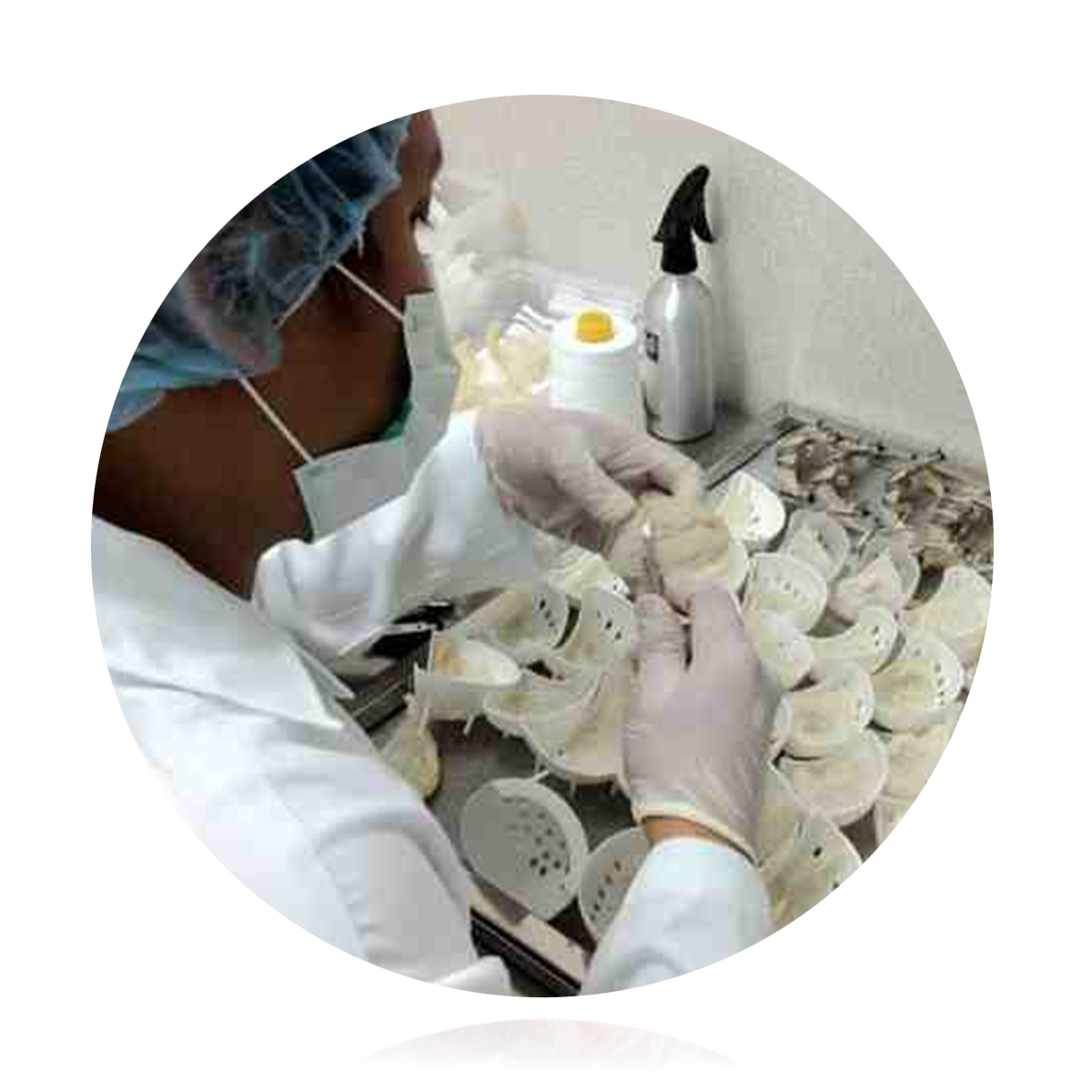 ​​生产工艺 The Nature Of Processing